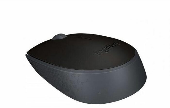 Мышь беспроводная Logitech M171 Wireless Black — фото 1