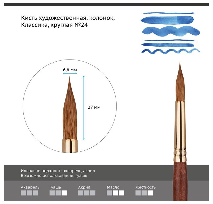 Кисть колонок №24 круглая Гамма "Классика" - фото №2