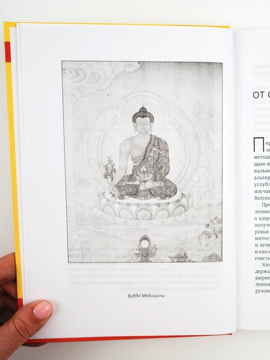 Настольная книга тибетской медицины - фото №3