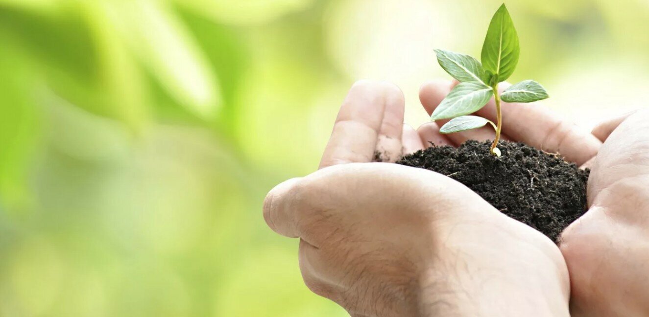 Абига Пик 50 мл удобрение для растений,, для рассады, растений, деревьев и кустарников штука - фотография № 3