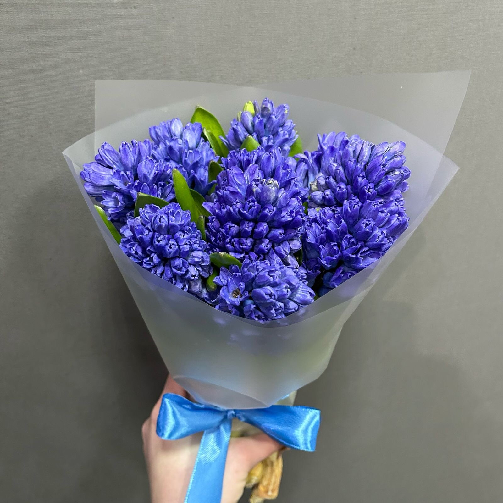 Монобукет из синих ароматных гиацинтов в матовой пленке ( 11 шт)