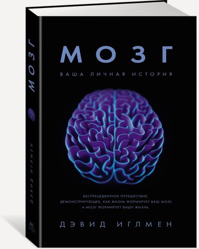Изображение товара Книга Мозг. Ваша личная история
