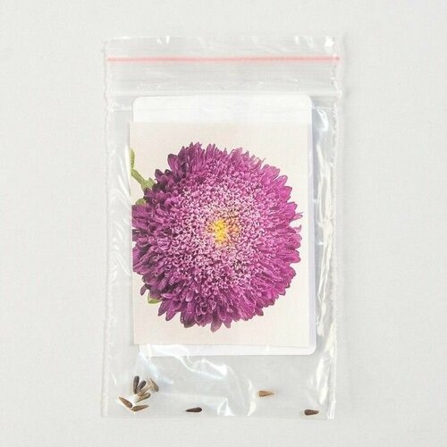 астра валькирия select блю семена Семена цветов Астра Бенари Принцесс, Блю, Benary, 10 шт 8 упаковок