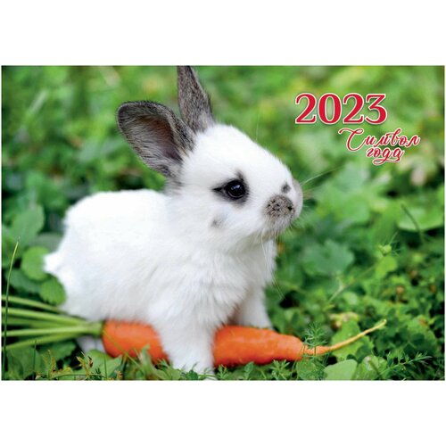 Календарь квартальный, серия Символ года, название Зайчик с морковкой квартальный календарь 2023 woozzee песик с коктейлем