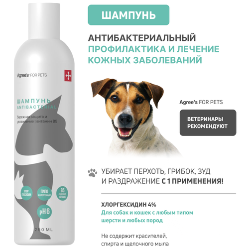 Антибактериальный шампунь для животных Agree’s for pets с хлоргексидином 4%, 250 мл