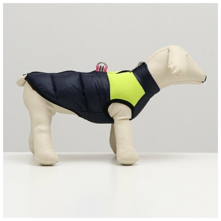 Куртка для собак на молнии, размер 16 (ДС 36 см, ОГ 46 см, ОШ 35 см),синяя с жёлтым - фотография № 12