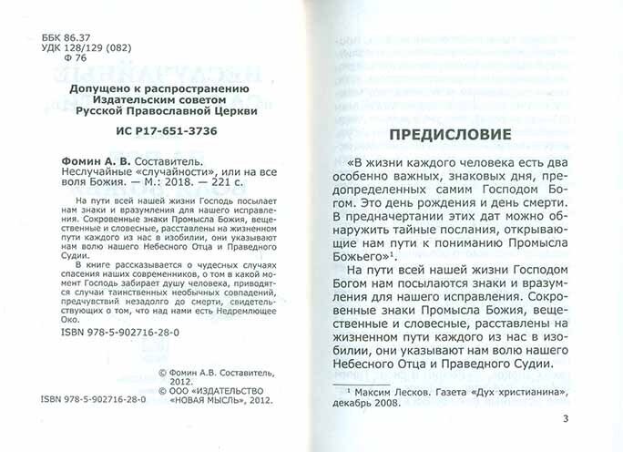 Неслучайные "случайности", или на все воля Божия - фото №14