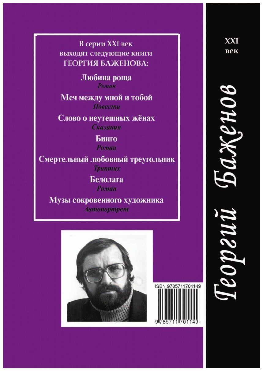 Книга Бумеранг (Баженов Георгий Викторович) - фото №2