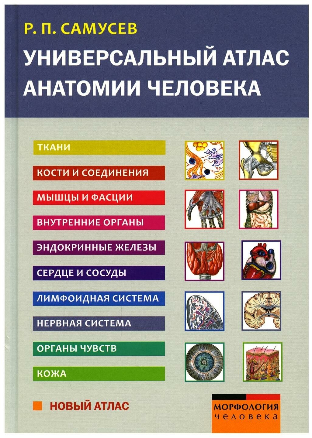 Универсальный атлас анатомии человека. Учебное пособие для студентов медицинских учебных заведений