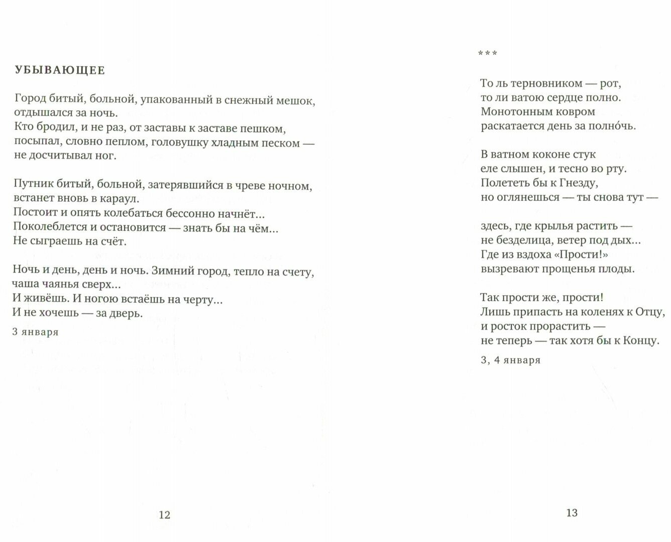 Дневник. Продолжение (Загвоздина Наталья Александровна) - фото №3