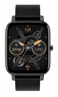 Умные часы Digma Smartline E5 1.69" TFT черный (E5B)