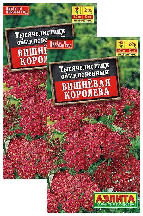 Тысячелистник Вишневая королева (01 г) 2 пакета