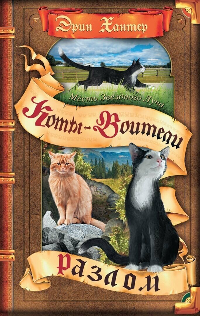 Книга Месть звездного луча. Разлом. В двух книгах. Книга 1 - фото №1