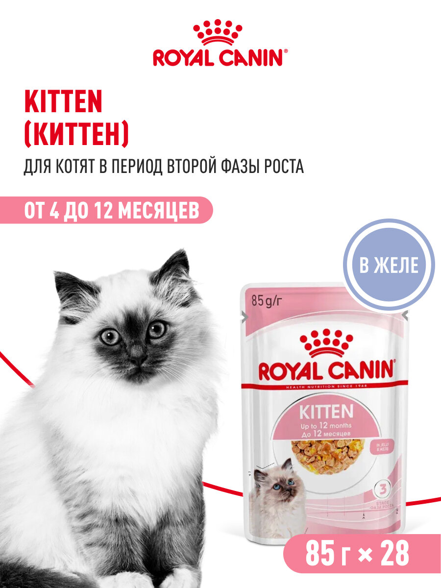 Изображение Влажный корм для котят Royal Canin Kitten кусочки в желе, 28 шт по 85 г