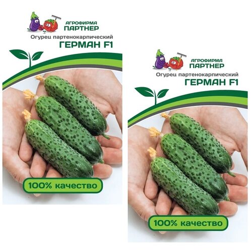 Семена Огурец Герман F1 /Агрофирма Партнер/ 2 упаковки по 5 семян