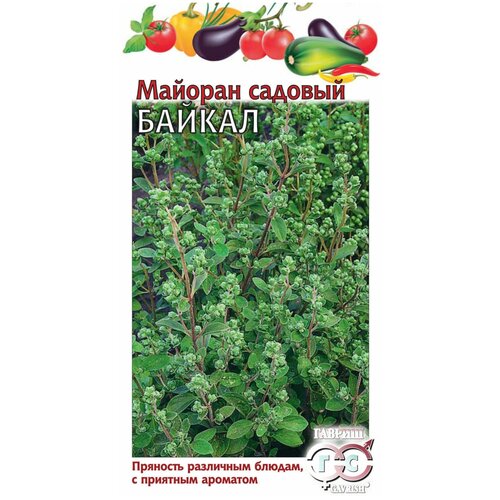 Семена Майоран садовый Байкал удалить майоран поиск байкал 0 1г