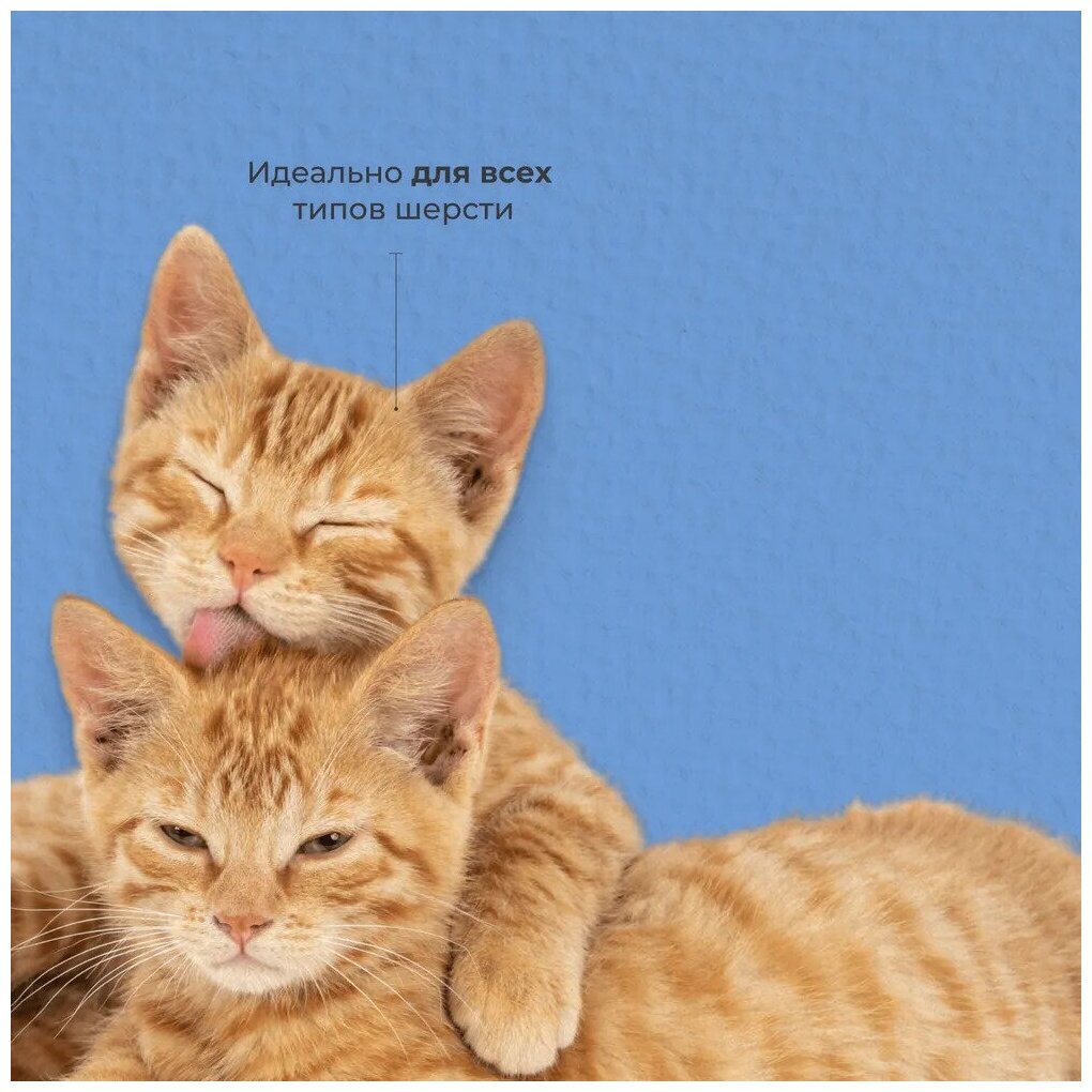Pet's Art , Универсальный шампунь для кошек и котят для всех пород и типов шерсти 500 мл - фотография № 5