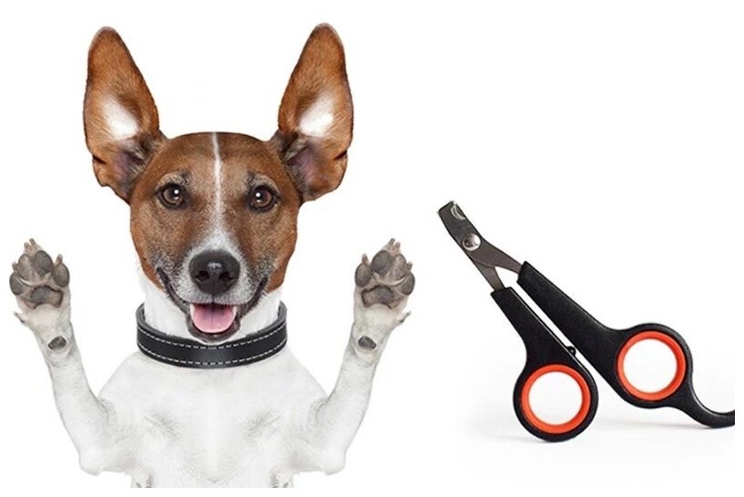 Когтерез-ножницы для животных, когтерез для груминга, ножницы для кошек и собак - фотография № 8