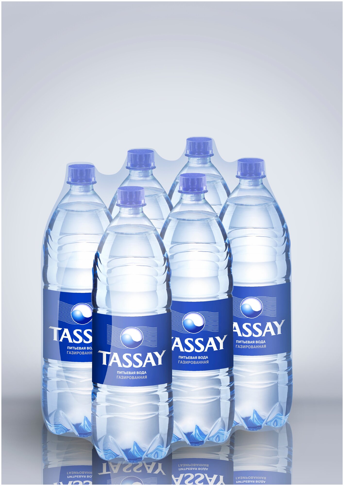 TASSAY/ тассай/ Минеральная природная столовая питьевая вода/ газированная/ 6 шт. по 1 л - фотография № 4
