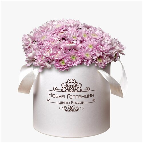 15 Розовых хризантем в большой белой коробке №244