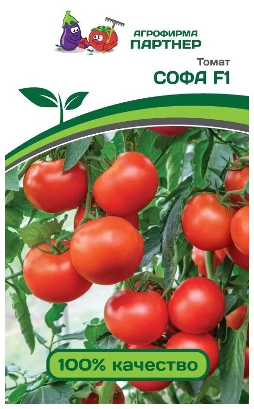 Семена томат Софа , 0,05 г 1 упаковка
