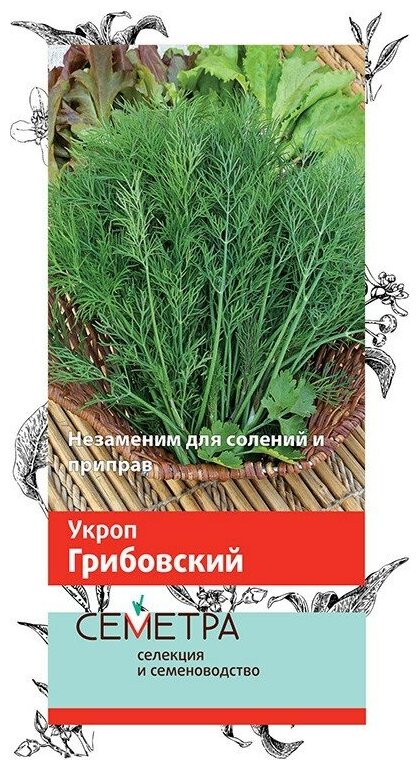 Укроп "Поиск" Грибовский 3г