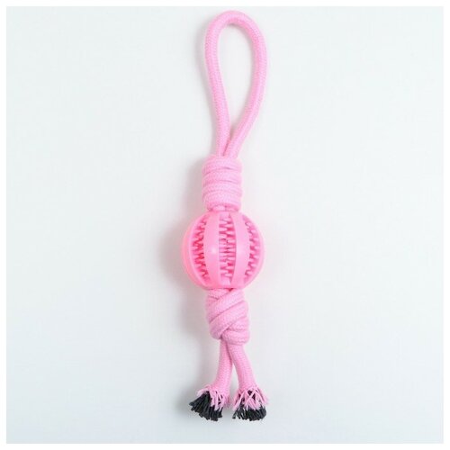 Игрушка канатная плетёная с мячом, до 35 см, до 115 г, розовая 7883164
