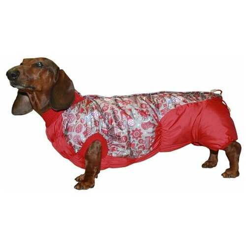 Комбинезон для таксы девочки демисезонный на подкладке, модель 