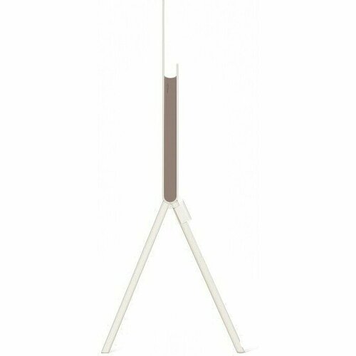 Телевизор OLED LG 55LX1T6LA 155400₽