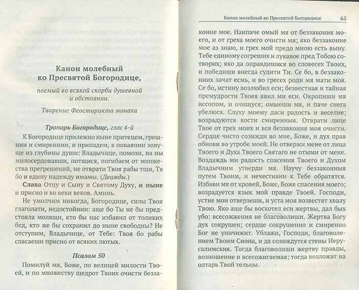 Исповедь и Причастие. С правилом ко Святому Причащению - фото №5