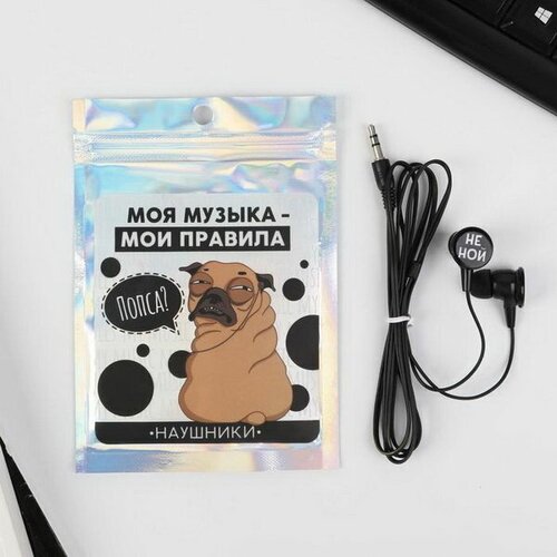 Наушники вакуумные в пакете Моя музыка- мои правила 10 x 15 см 19200₽
