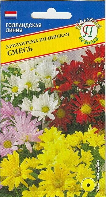 Хризантема индийская Смесь. Семена хризантемы высотой 50 см. с диаметром махровых и полумахровых цветков до 8 см. 1 пакет