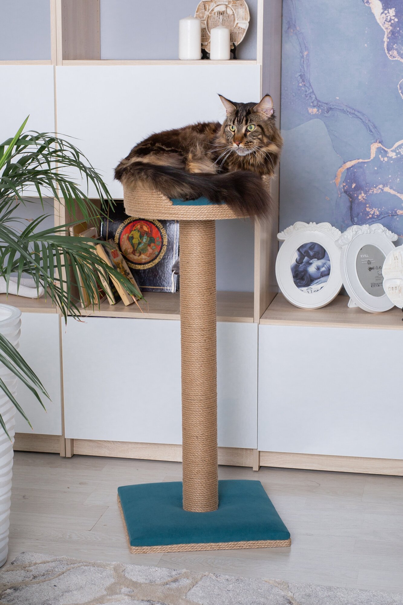 Когтеточка для кошек Столбик с лежанкой IvPet 93х40х36 бирюзовый - фотография № 9