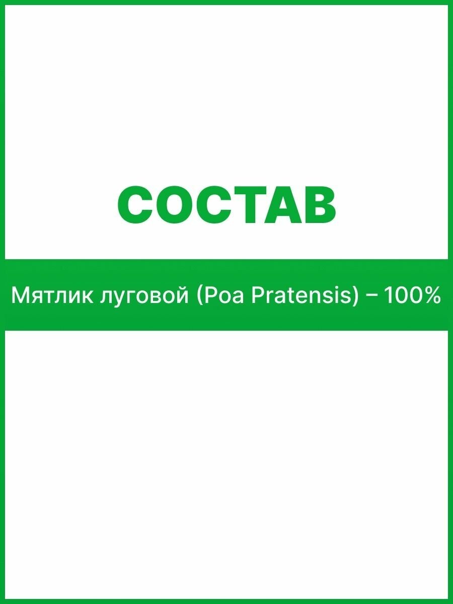 Семена газонных трав ГазонCity - фото №8