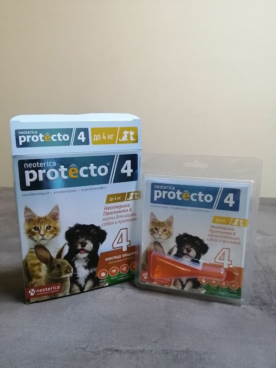 Neoterica раствор от блох и клещей Protecto 4 для кошек и собак 2 шт. в уп., 1 уп.