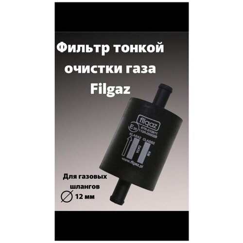 Фильтр тонкой очистки Filgas 12/12