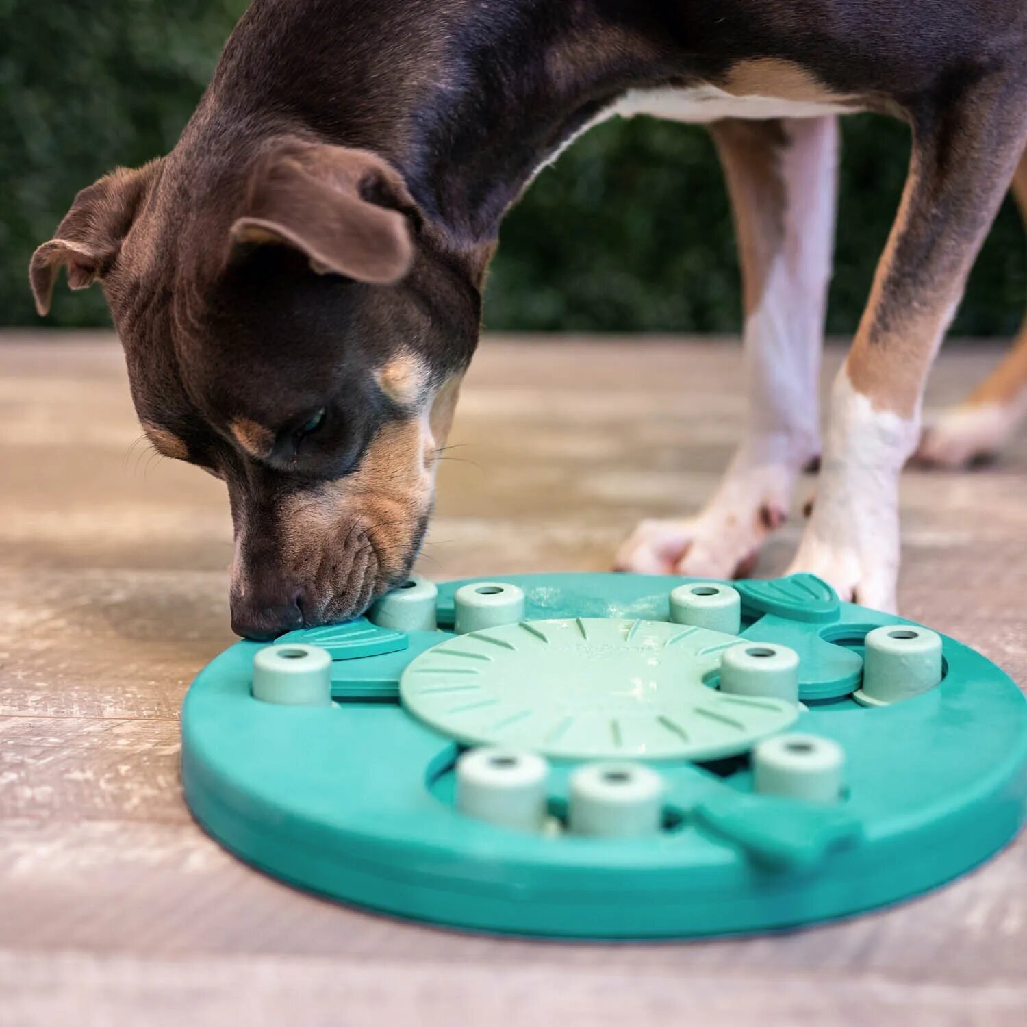 Игра-головоломка Nina Ottosson Worker для собак, 3 уровень сложности (продвинутый) - фотография № 6