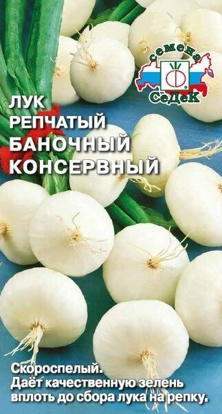 Лук репчатый 