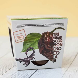 Уход за растением перца Тринидад Скорпион шоколадный