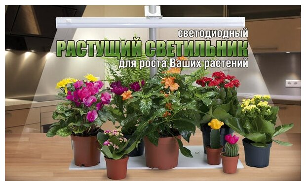 Светодиодный фитосветильник Zdorovya Klad 16 Ватт для подсветки зелени - фотография № 12