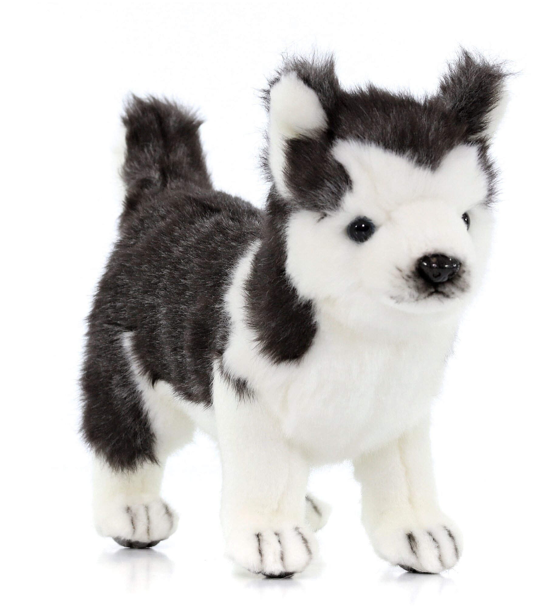 Реалистичная мягкая игрушка Hansa Creation, 6970 Собака сибирский хаски, чёрно-белая, щенок, 20 см