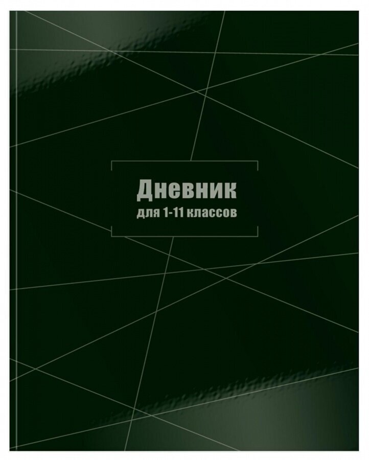 Дневник ун. 48 л. тв. обл. Schoolformat темно-зеленый переплет. картон, гл. лам. 238627