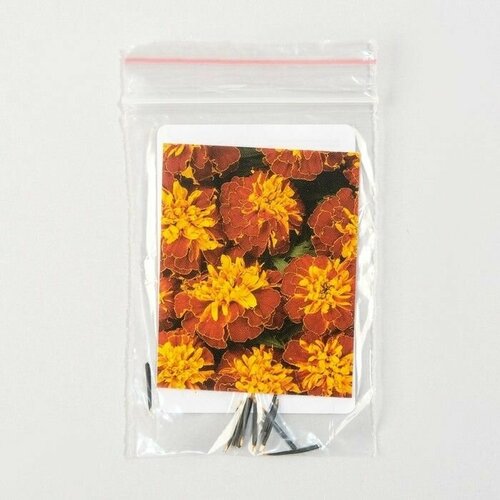 Семена цветов Бархатцы Бонанза, Хармони, Pan American, 10 шт 4 упаковки