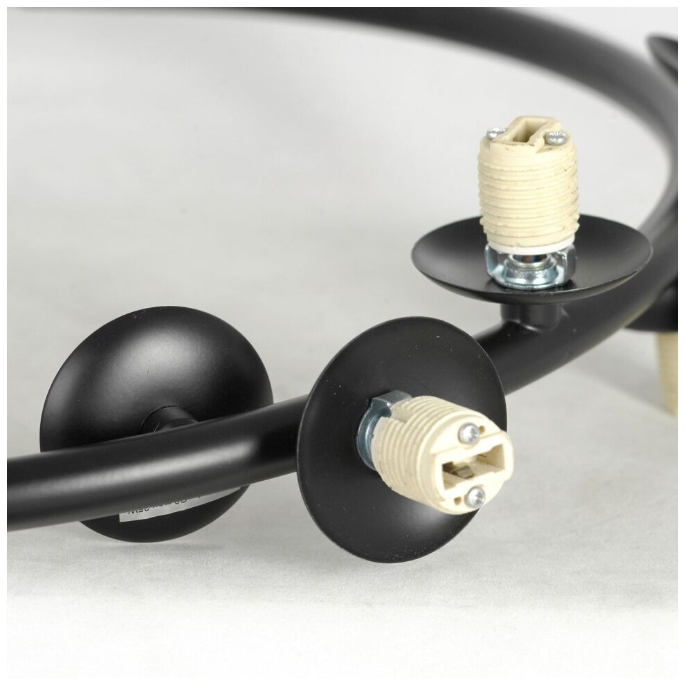 Подвесная люстра Lussole LOFT LSP-8747, Черный, G9