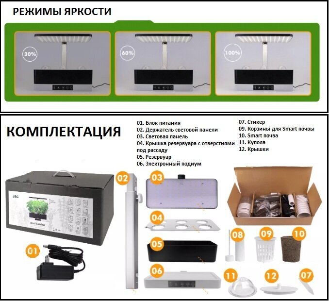 Мини сад - фотография № 5