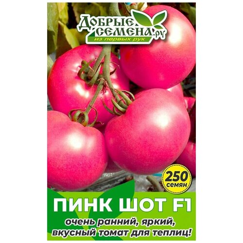 Семена томата Пинк Шот F1 - 250 шт - Добрые Семена. ру семена томата пинк рей f1 250 шт добрые семена ру