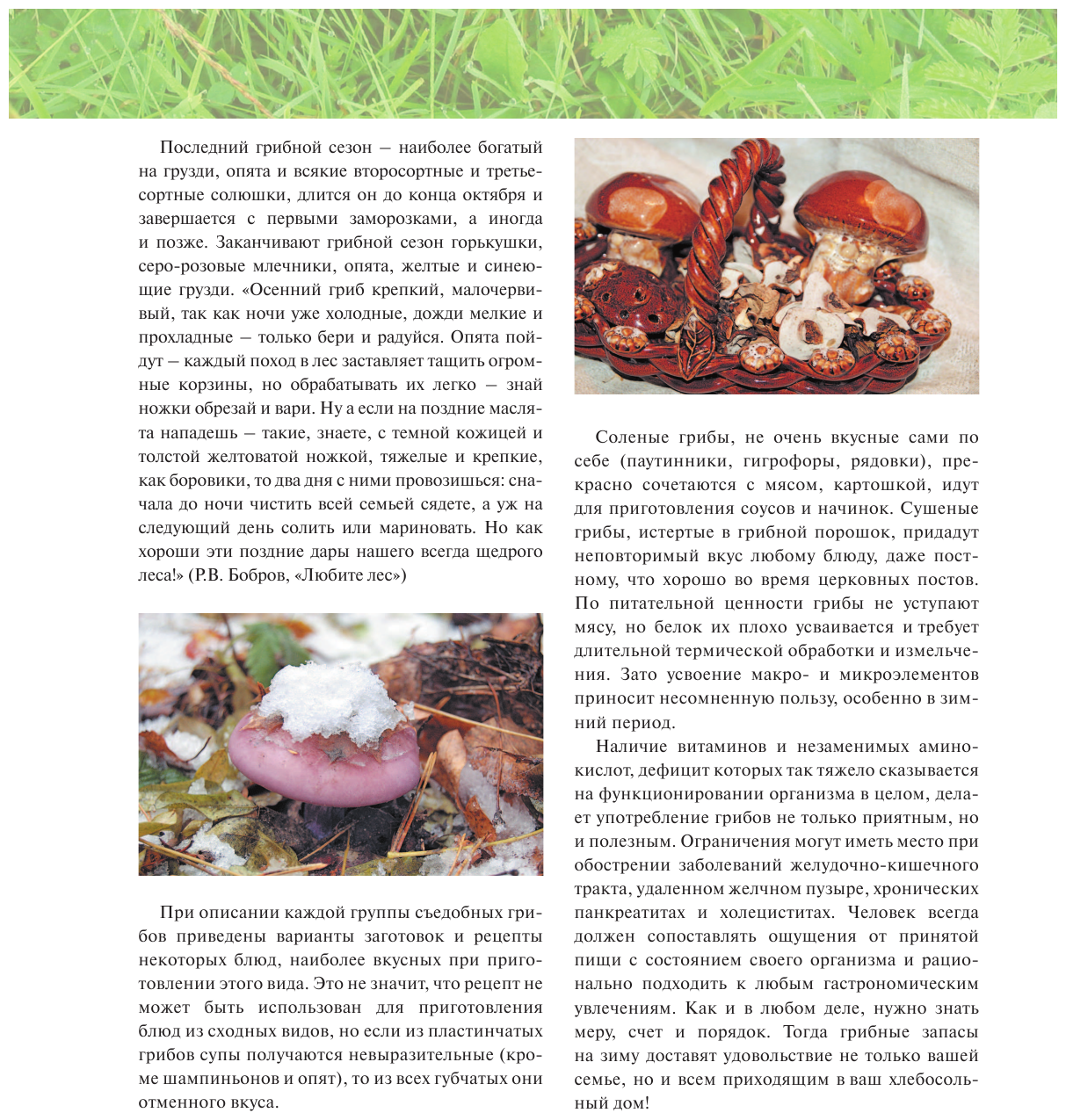 Лесные грибы. Иллюстрированная энциклопедия с рецептами - фото №13