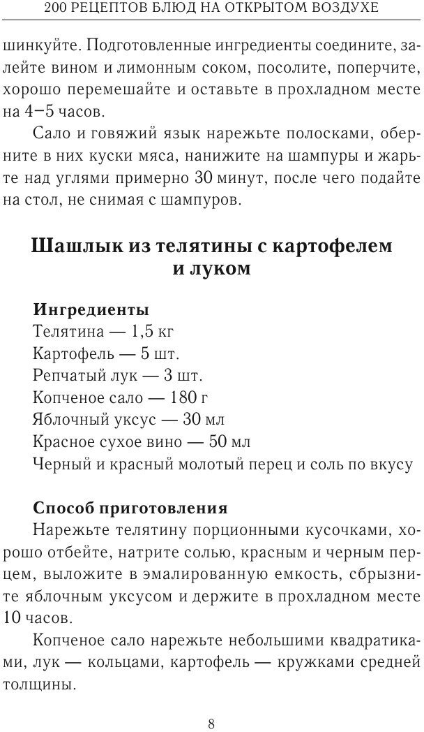 200 рецептов блюд на открытом воздухе - фото №8