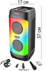 Большая беспроводная портативная Bluetooth блютуз колонка с караоке микрофоном радио светомузыкой мощный переносной музыкальный центр подсветкой AUX