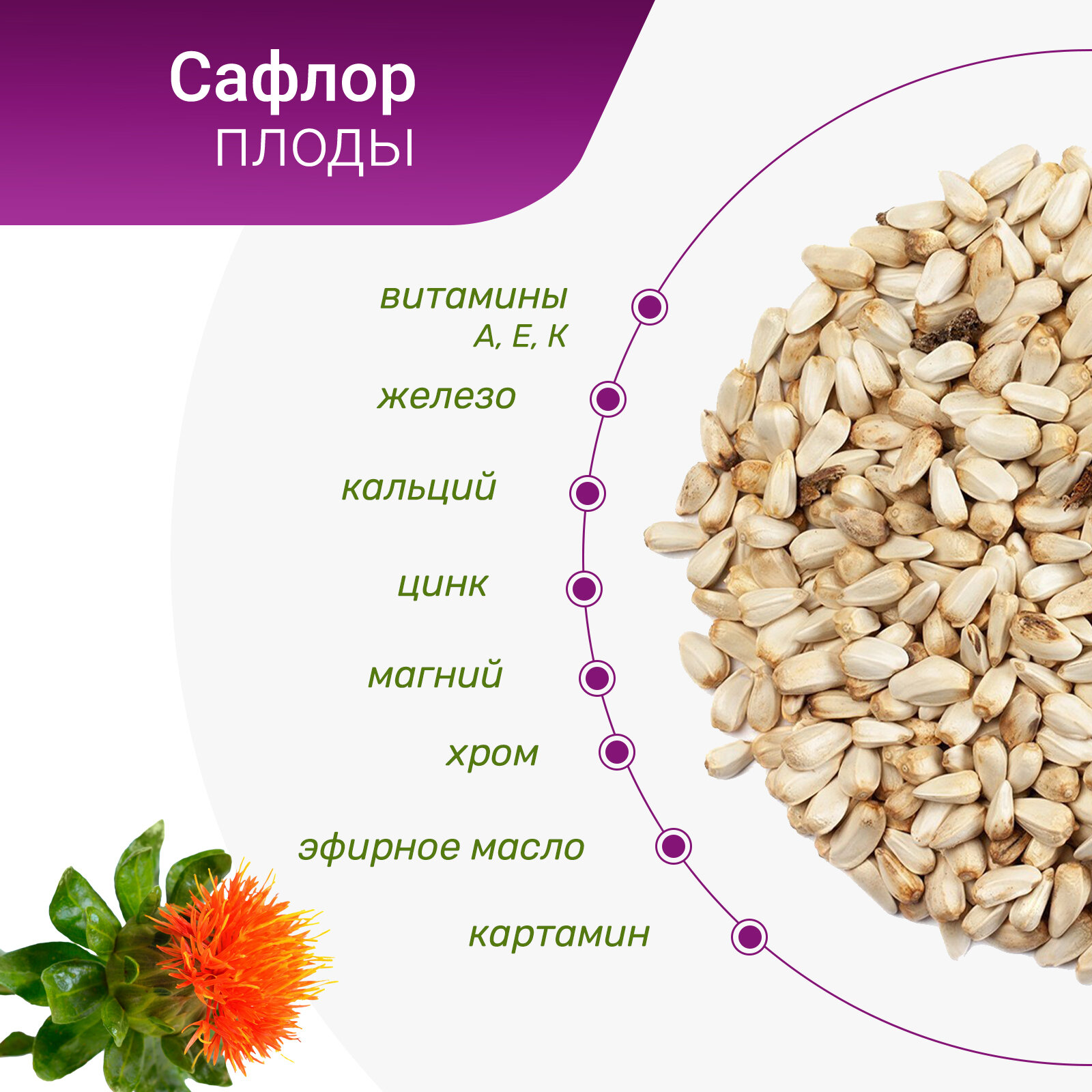 Слабительные Лекарственные Травы Сафлор плоды, 100 гр